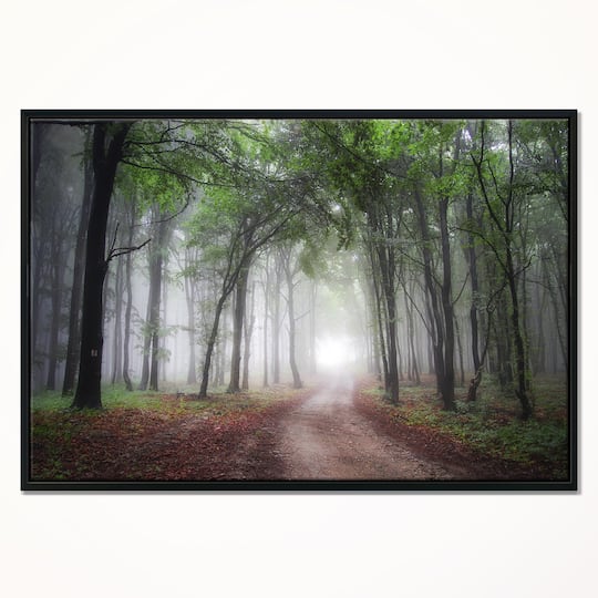 Designart - Light Through Green Fall Forest